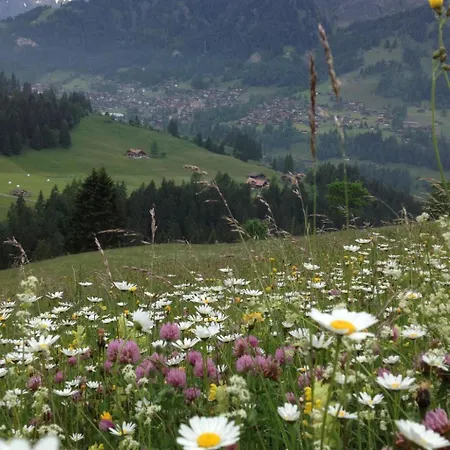 Sunnegruess By Interhome *