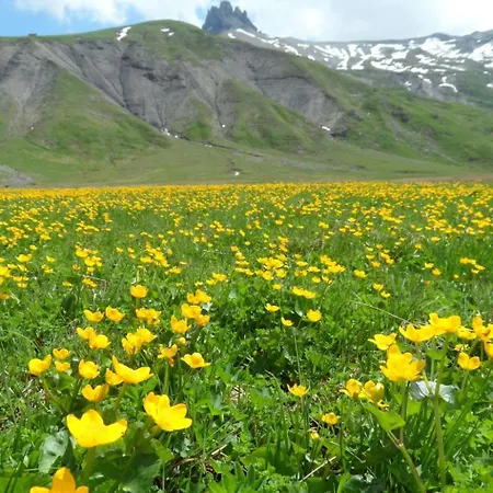 Apartment Sunnegruess By Interhome