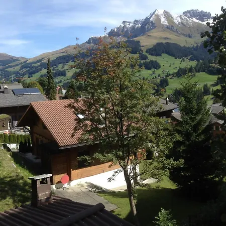 Sunnegruess By Interhome Apartament Adelboden