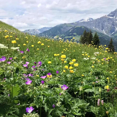 Apartament Sunnegruess By Interhome Adelboden