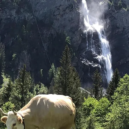 Sunnegruess By Interhome * Adelboden