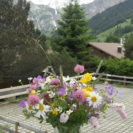 Apartament Sunnegruess By Interhome