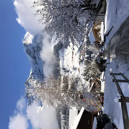 Sunnegruess By Interhome Apartament Adelboden