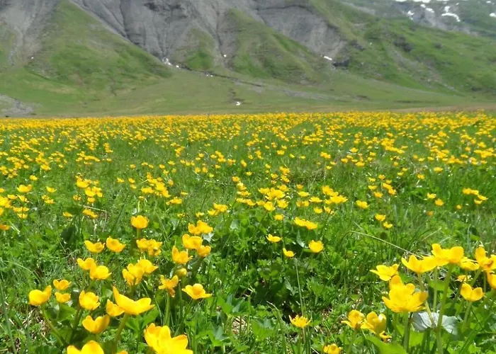 Lejlighed Sunnegruess