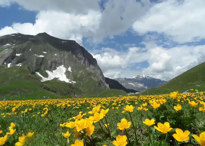 Apartment Sunnegruess By Interhome *