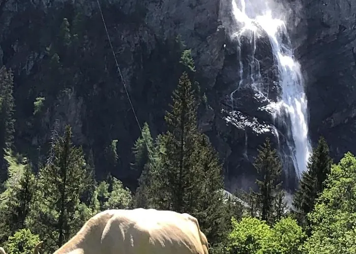 Sunnegruess By Interhome * Adelboden