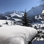 Appartamento Sunnegruess By Interhome Adelboden