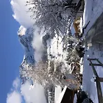 Sunnegruess By Interhome Appartamento Adelboden