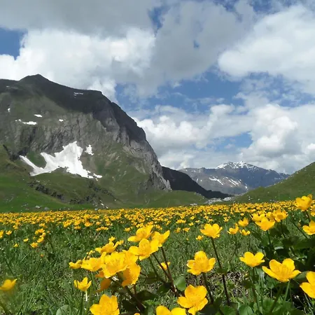 דירה Sunnegruess By Interhome *