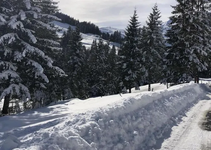 Sunnegruess By Interhome