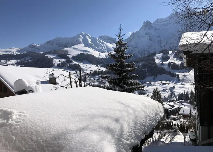 Apartament Sunnegruess By Interhome Adelboden