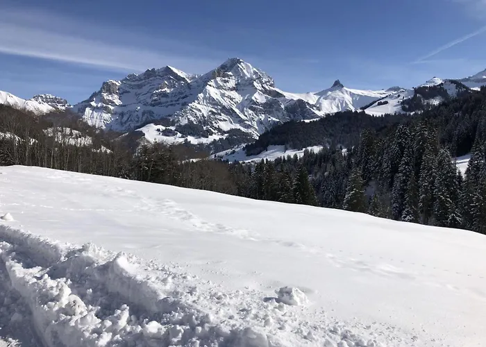 Sunnegruess By Interhome Apartament