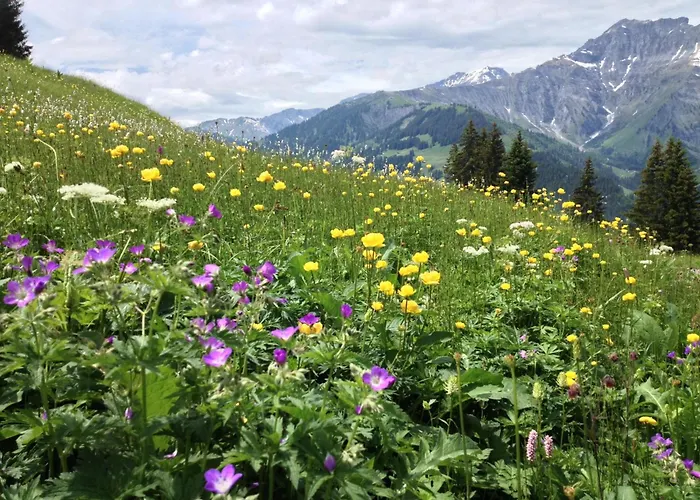 Apartament Sunnegruess By Interhome Adelboden