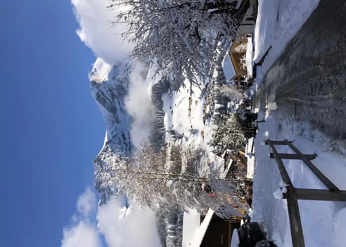 Sunnegruess By Interhome Apartament Adelboden